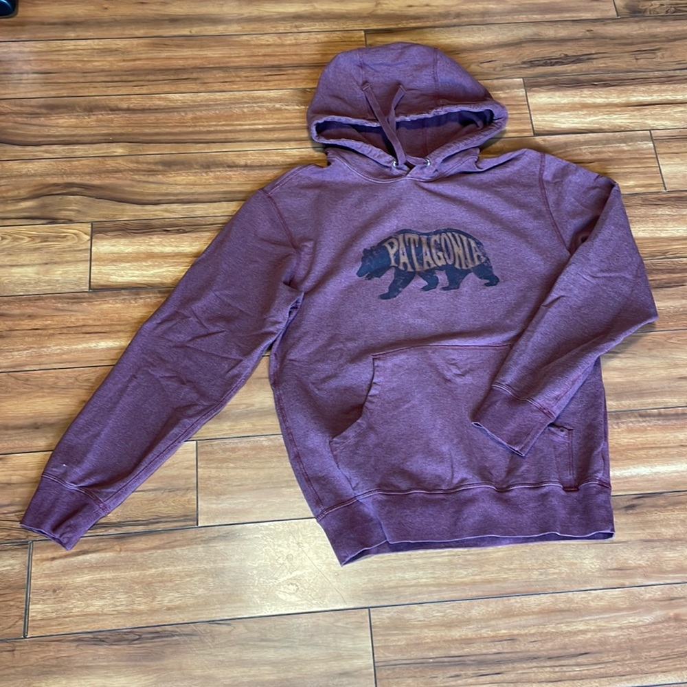 Patagonia Hoodie